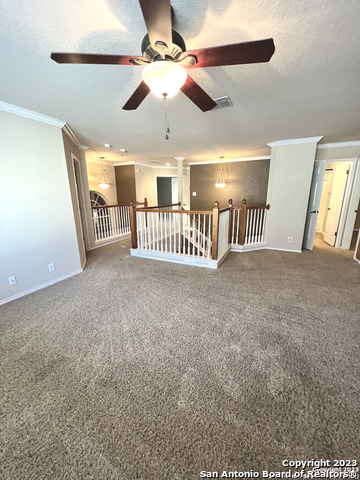 6314 Palmetto Way Property Photo 16