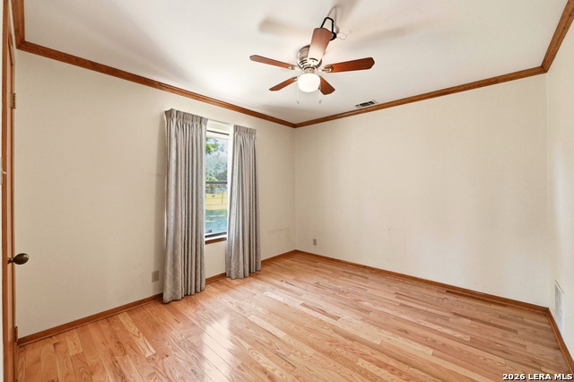 901 Gentilz Property Photo 22