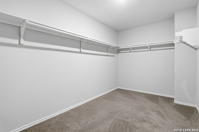 8111 Polaris Pt Property Photo 28