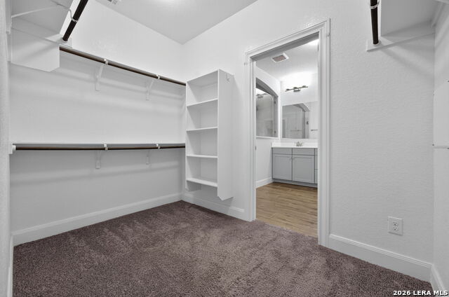 12103 Saddle Up Property Photo 24