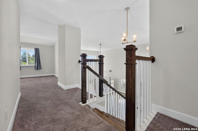 12103 Saddle Up Property Photo 25