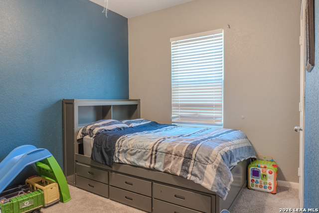5303 Flying Hooves Property Photo 16