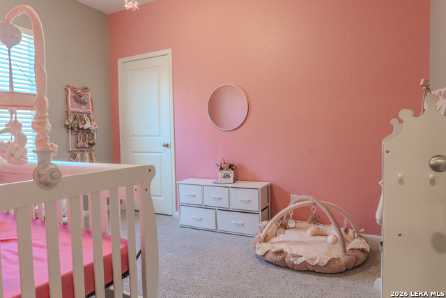 5303 Flying Hooves Property Photo 20