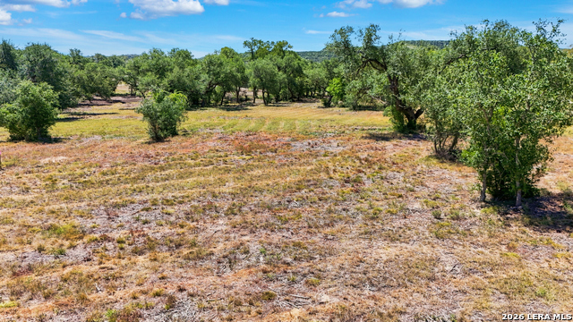 25623 Morhiss Point Property Photo 5