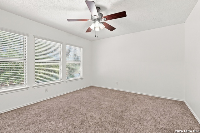 8018 Chestnut Bluff Dr Property Photo 12