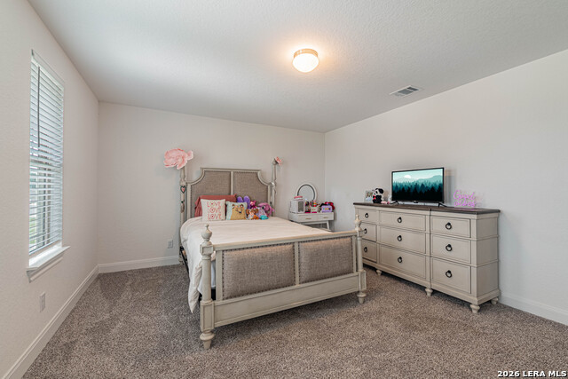 109 Willow Oak Trl Property Photo 12