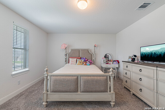 109 Willow Oak Trl Property Photo 13