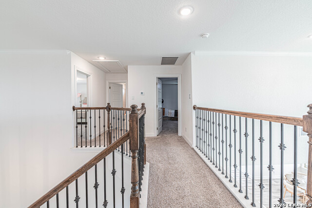 109 Willow Oak Trl Property Photo 45