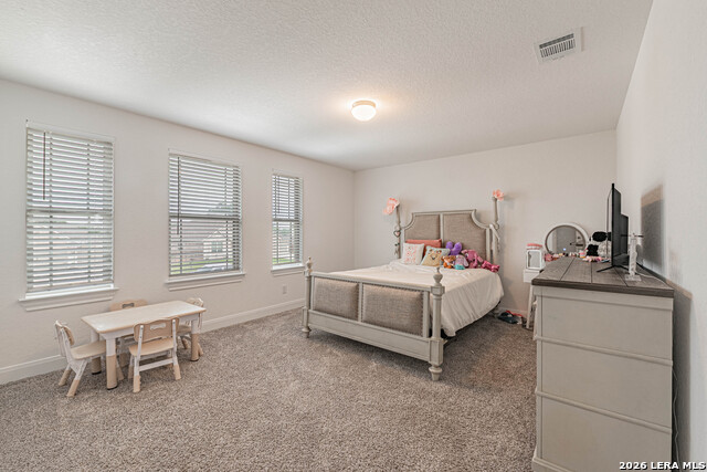 109 Willow Oak Trl Property Photo 48
