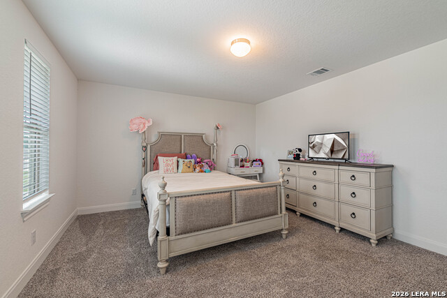 109 Willow Oak Trl Property Photo 49