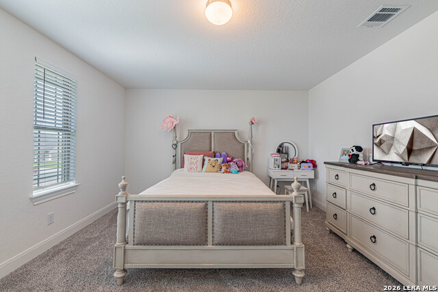 109 Willow Oak Trl Property Photo 50