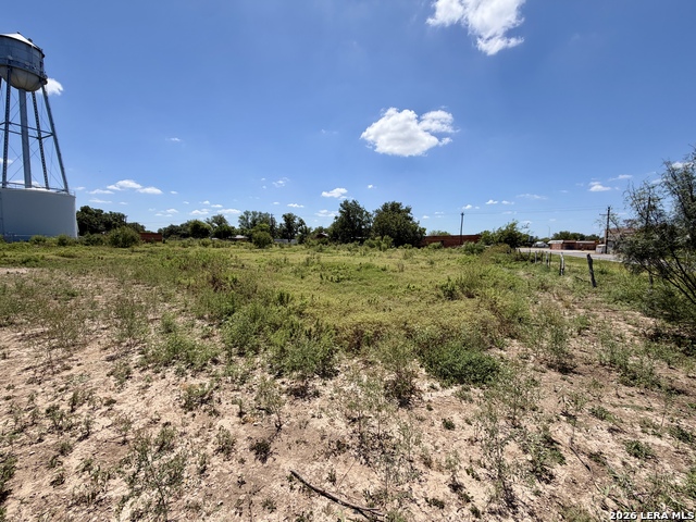 0 Fm 1796 & Cr 429 Property Photo 9