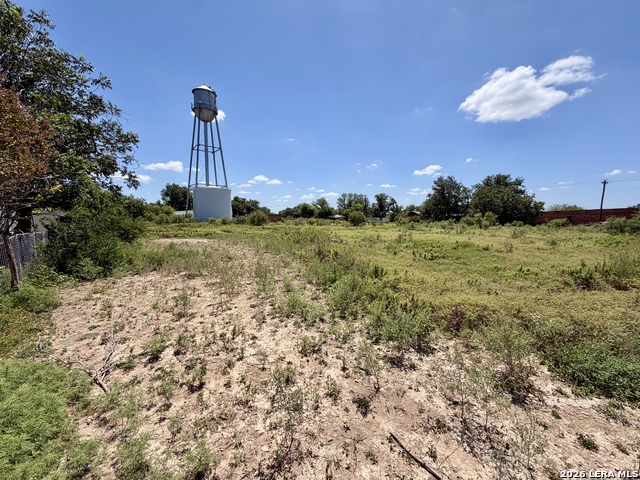 0 Fm 1796 & Cr 429 Property Photo 10