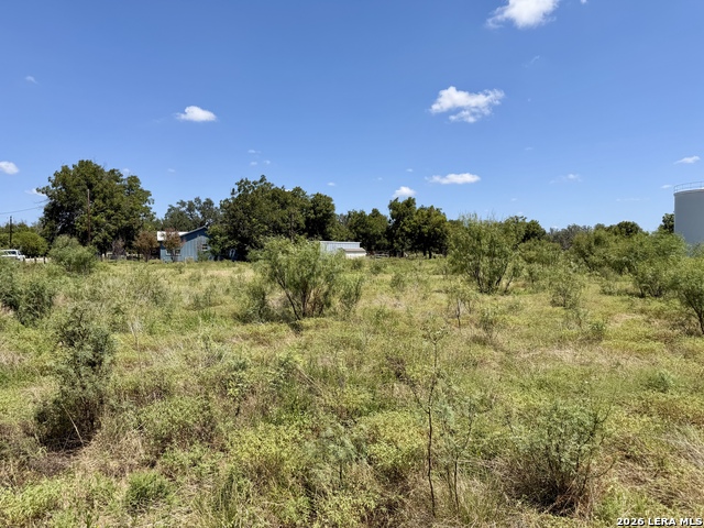 0 Fm 1796 & Cr 429 Property Photo 12