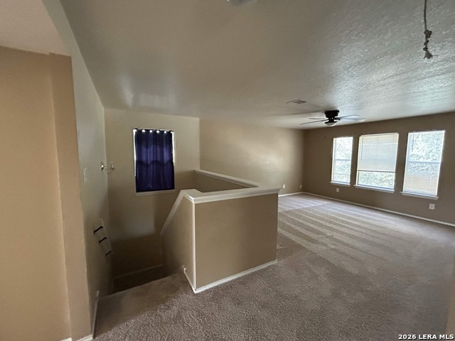 113 Longhorn Way Property Photo 10
