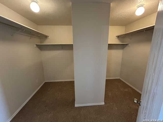 113 Longhorn Way Property Photo 13
