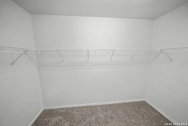 10438 Bulwark Peak Property Photo 28