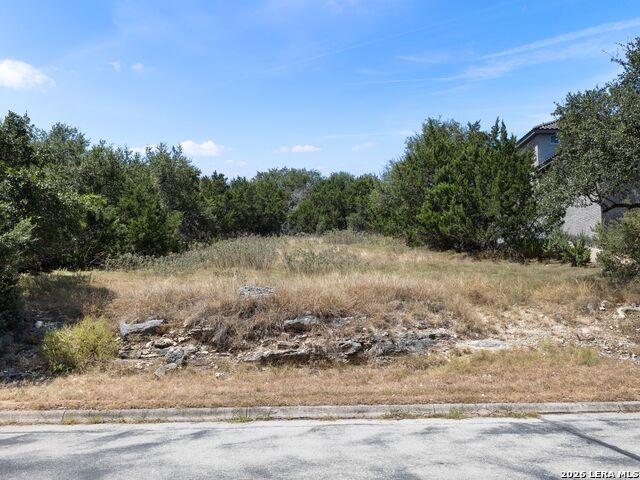 25227 Wentworth Way Property Photo 5