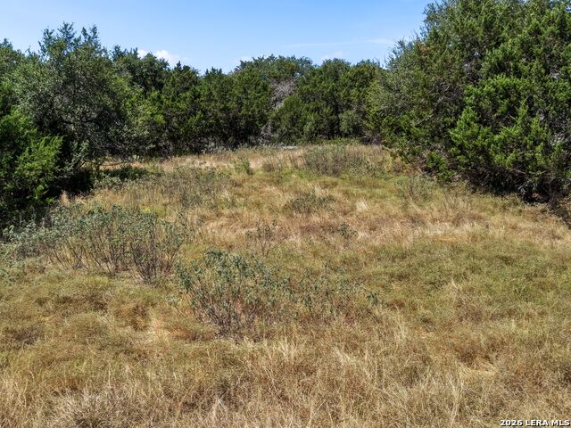 25227 Wentworth Way Property Photo 8