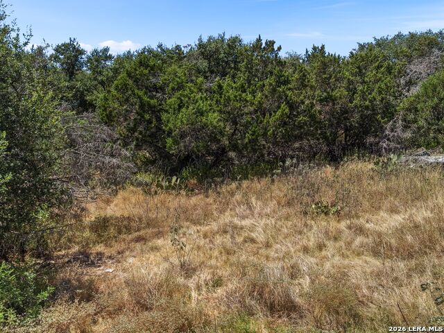 25227 Wentworth Way Property Photo 9