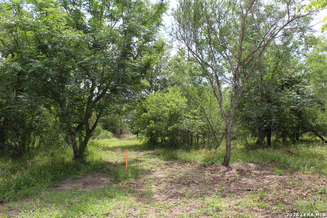 Tbd Tract 3 Pierce Rd Property Photo 4