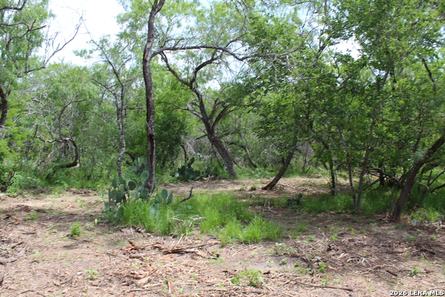Tbd Tract 3 Pierce Rd Property Photo 6