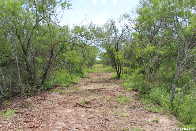 Tbd Tract 3 Pierce Rd Property Photo 10
