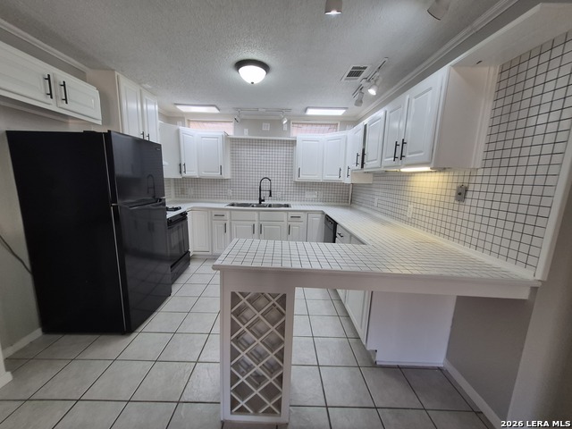 11914 Alamo Blanco Property Photo 8