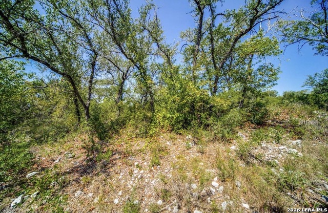 10026 Ivory Cyn Property Photo 1