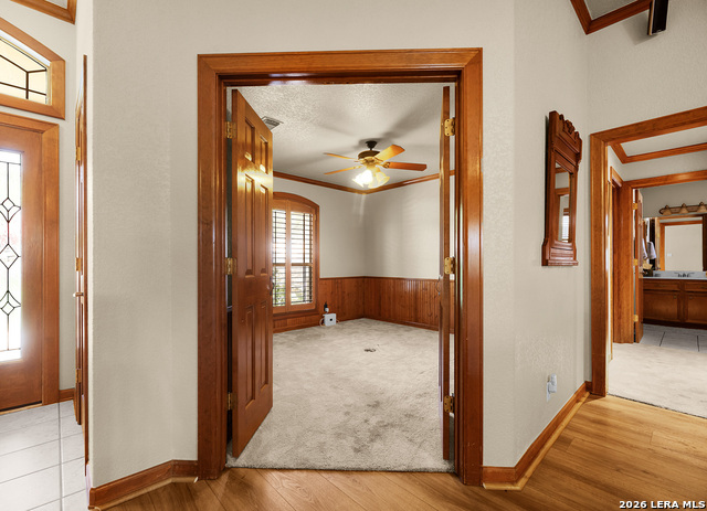 343 Lorne Property Photo 9