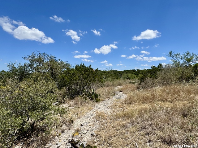 Lot 25 County Road 2602 Property Photo 33