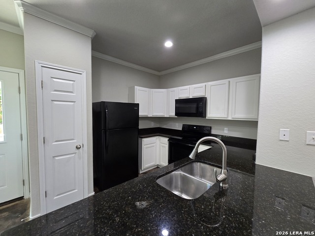 16902 Spirit Brook Property Photo 6