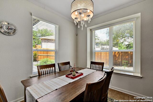20510 Ashmont Property Photo 15