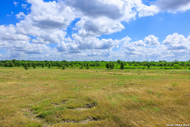 8804 Williamson Property Photo 30