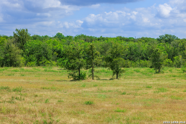 8804 Williamson Property Photo 31