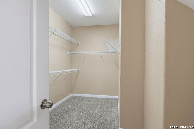 22862 Allegro Creek Property Photo 18