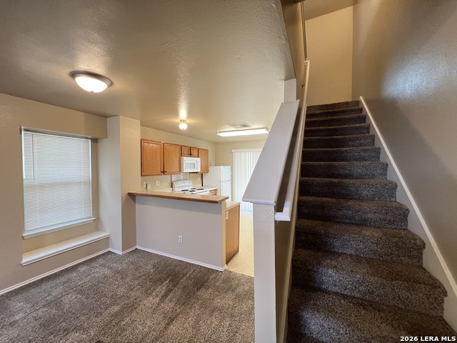 52 Autumn Pass Property Photo 8