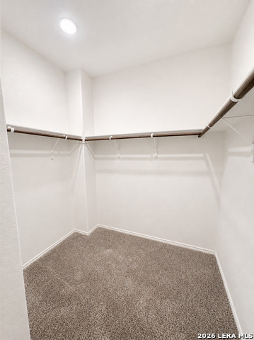 13226 Hagerd Loop Property Photo 20