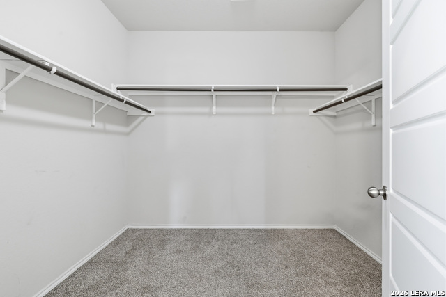 7923 Navarro Mls Property Photo 17