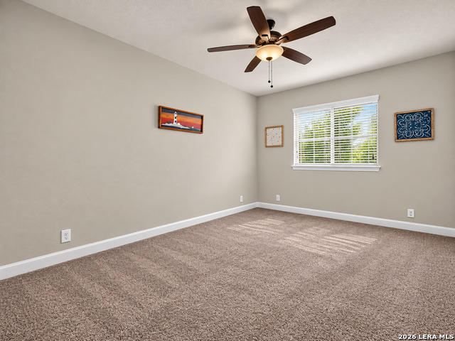 26911 Camellia Property Photo 16