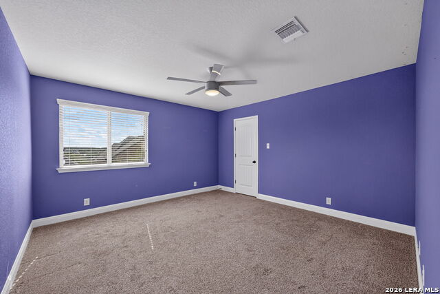 26911 Camellia Property Photo 23