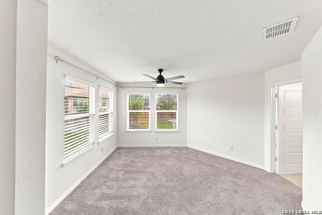 15162 Sirius Cir Property Photo 23
