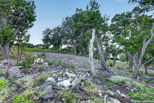 1466 Chianti Property Photo 9