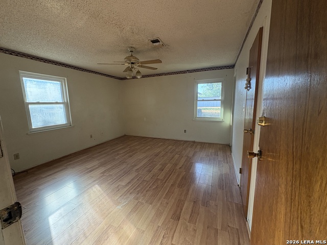 241 Duncan Property Photo 19