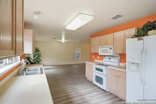 9506 Braun Willow Property Photo 4