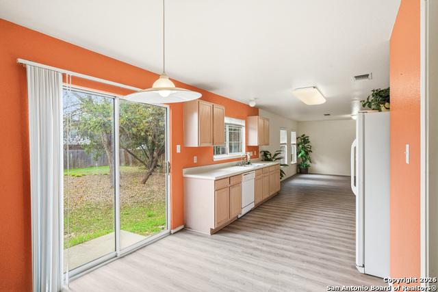 9506 Braun Willow Property Photo 5