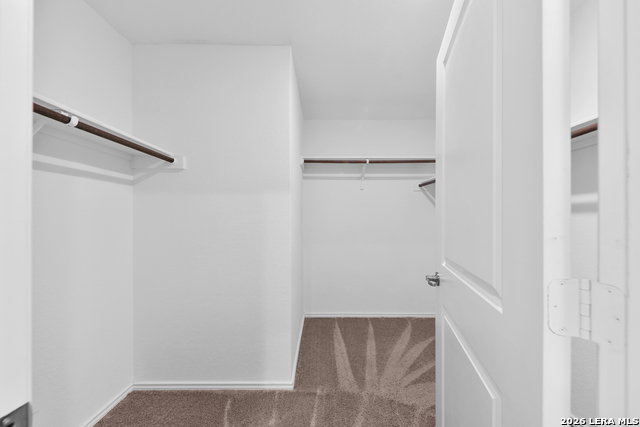 10223 Asta Trl Property Photo 20