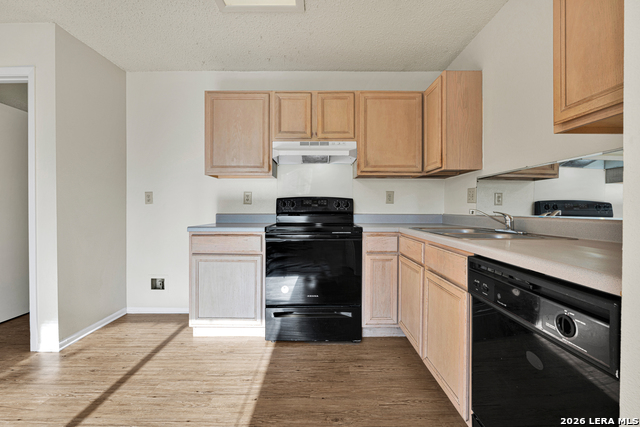 13343 Pecan Glade Property Photo 5
