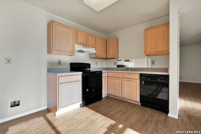13343 Pecan Glade Property Photo 6