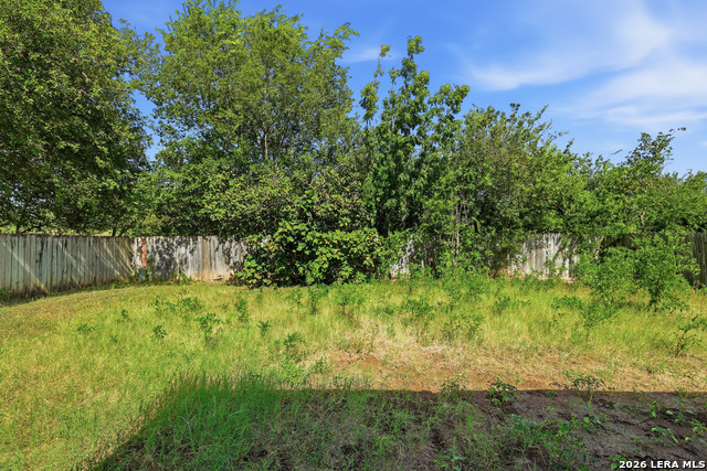 11403 Spring Crest St Property Photo 23